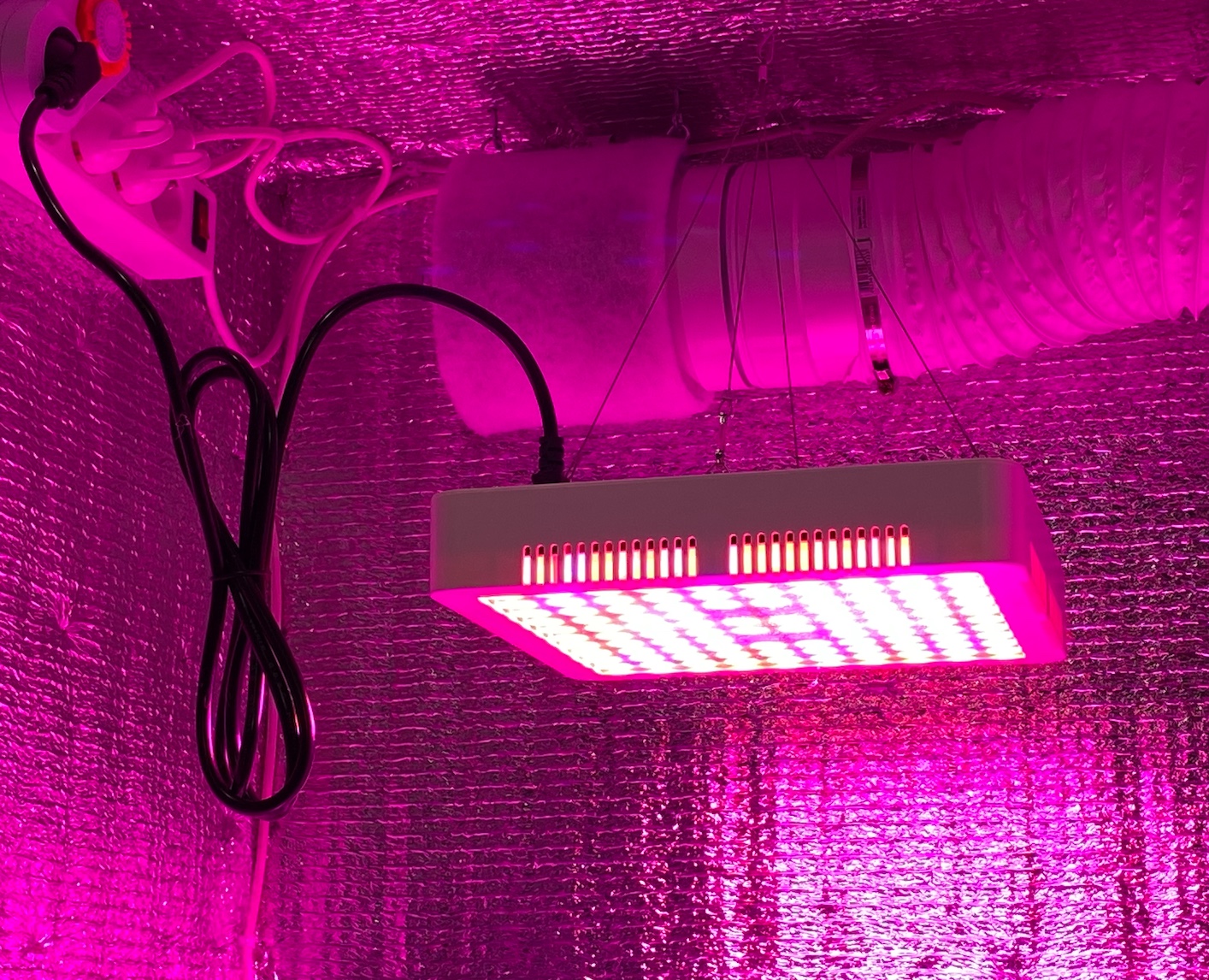 Led 65W