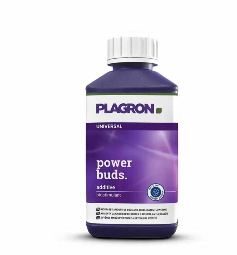 Plagron Power Buds 100 ml