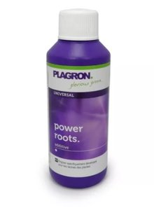 Стимулятор для корней Plagron Power Roots 100ml (t°C)