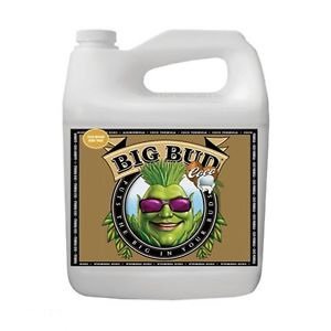 Стимулятор Big Bud Coco Liquid 250ml (t°C)